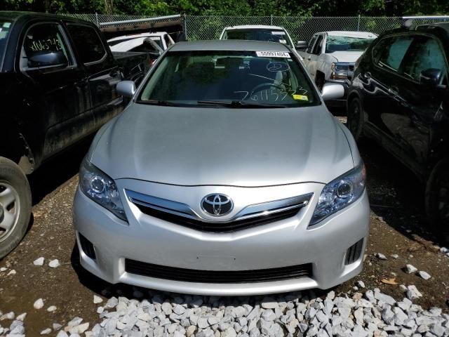 2010 Toyota Camry Hybrid