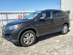 2013 Honda CR-V EXL en venta en Appleton, WI