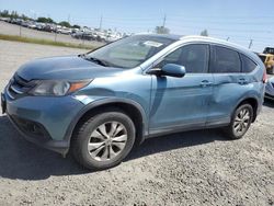 Salvage cars for sale from Copart Eugene, OR: 2014 Honda CR-V EXL