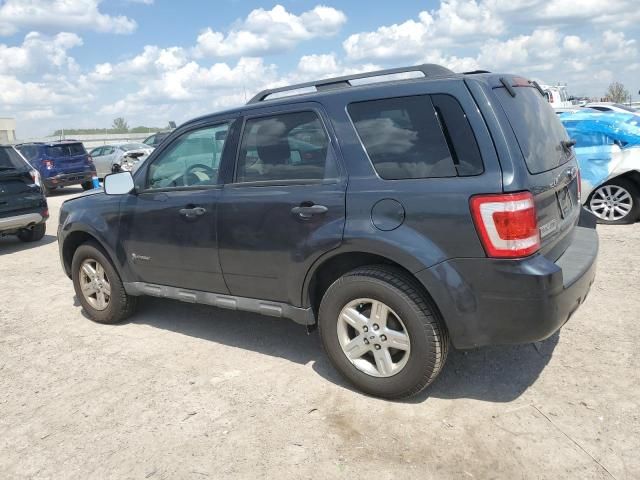 2009 Ford Escape Hybrid