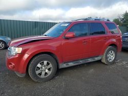 2010 Ford Escape Limited for sale in Finksburg, MD