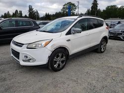 2013 Ford Escape SE for sale in Graham, WA