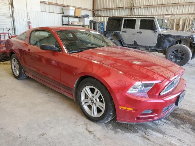 2013 Ford Mustang