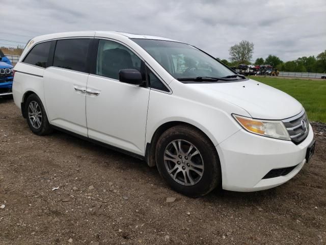 2011 Honda Odyssey EXL