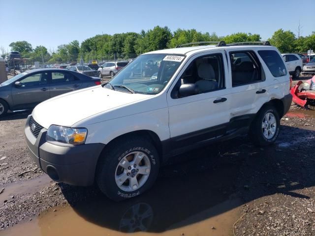 2005 Ford Escape XLT