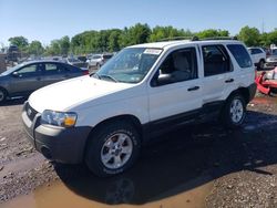 Ford salvage cars for sale: 2005 Ford Escape XLT