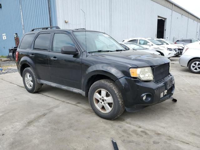 2009 Ford Escape XLT