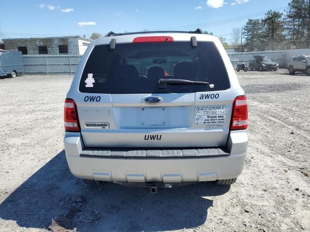 2008 Ford Escape XLT