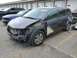 Salvage cars for sale from Copart Louisville, KY: 2014 Honda Odyssey EX