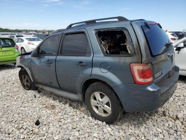 2011 Ford Escape XLT