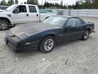 1989 Pontiac Firebird