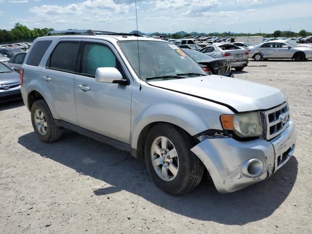 2011 Ford Escape Limited