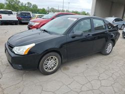 2009 Ford Focus SE for sale in Fort Wayne, IN