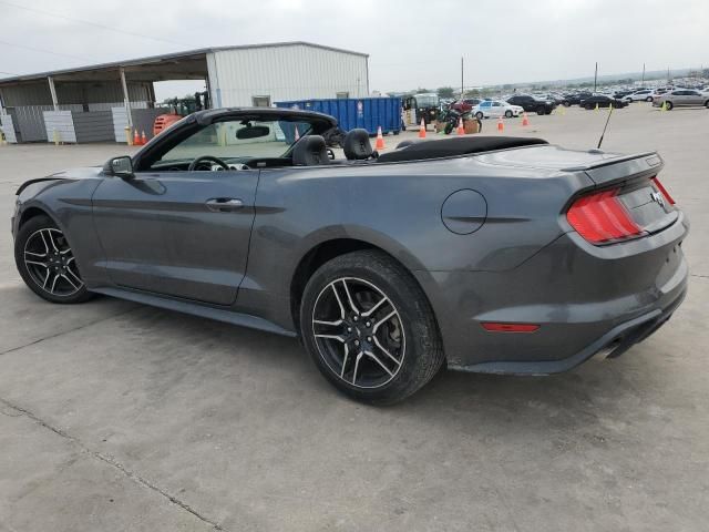 2019 Ford Mustang