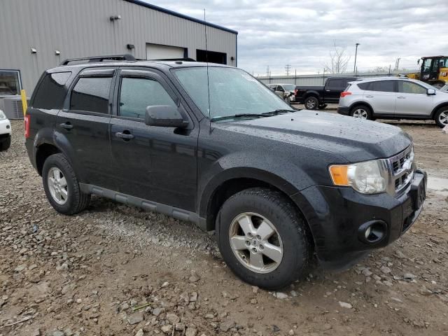 2009 Ford Escape XLT