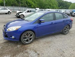 Ford Focus salvage cars for sale: 2013 Ford Focus SE