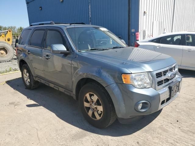 2011 Ford Escape Limited