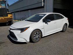 Vehiculos salvage en venta de Copart Pasco, WA: 2021 Toyota Corolla LE