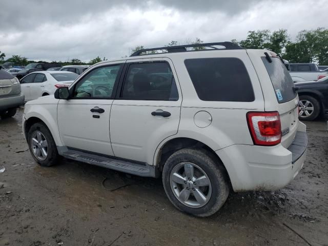 2010 Ford Escape XLT