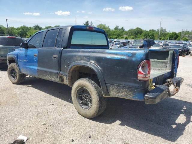 2000 Dodge Dakota Quattro