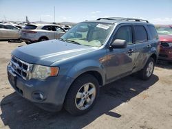 Salvage cars for sale from Copart Albuquerque, NM: 2011 Ford Escape XLT