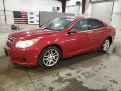 2013 Chevrolet Malibu 1LT en venta en Avon, MN