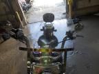 2004 Harley-Davidson Flstci