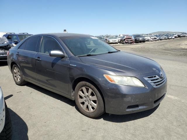 2008 Toyota Camry Hybrid