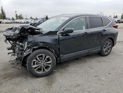 2020 Honda CR-V EXL en venta en Rancho Cucamonga, CA