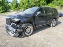 Cadillac salvage cars for sale: 2023 Cadillac Escalade Premium Luxury