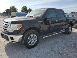 2013 Ford F150 Supercrew for sale in Prairie Grove, AR