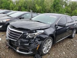 Cadillac XTS salvage cars for sale: 2019 Cadillac XTS Luxury