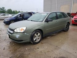 Salvage cars for sale from Copart Lawrenceburg, KY: 2005 Chevrolet Malibu Maxx LS