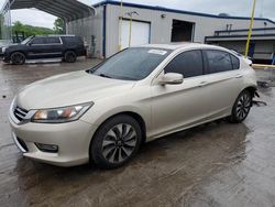 Honda Accord Vehiculos salvage en venta: 2013 Honda Accord EXL