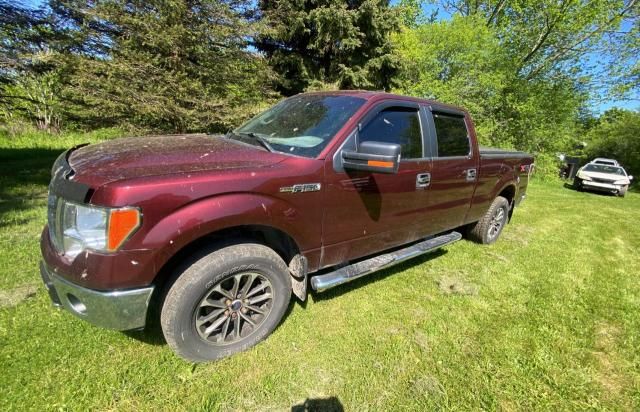 2010 Ford F150 Supercrew