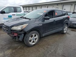 2013 Ford Escape SE for sale in Louisville, KY