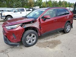 Toyota rav4 xle salvage cars for sale: 2023 Toyota Rav4 XLE