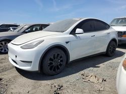 2021 Tesla Model Y for sale in Martinez, CA