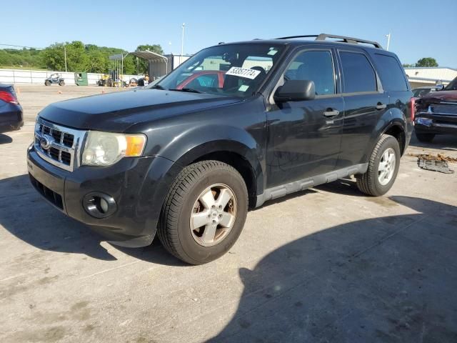 2010 Ford Escape XLT