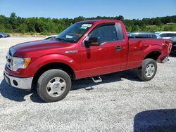 Ford salvage cars for sale: 2013 Ford F150