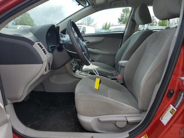 2011 Toyota Corolla Base