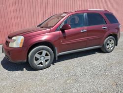 Chevrolet salvage cars for sale: 2009 Chevrolet Equinox LT