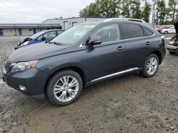 Salvage cars for sale from Copart Arlington, WA: 2010 Lexus RX 450