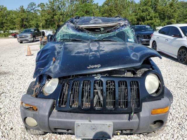 2002 Jeep Liberty Sport