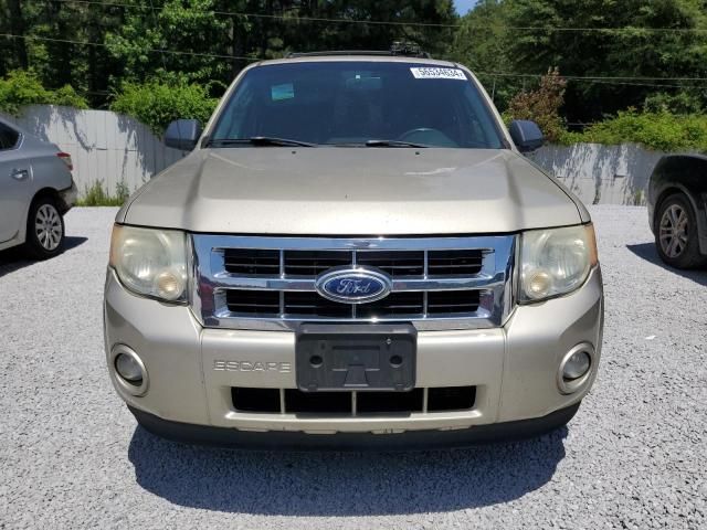 2010 Ford Escape XLT