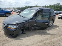 2011 Hyundai Santa FE Limited for sale in Greenwell Springs, LA