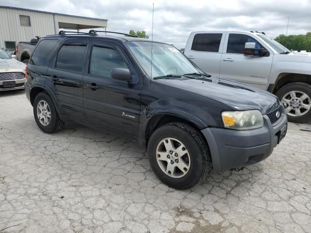 2006 Ford Escape HEV