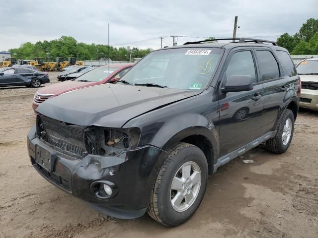 2010 Ford Escape XLT