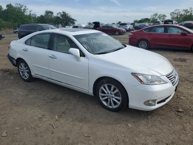 2010 Lexus ES 350