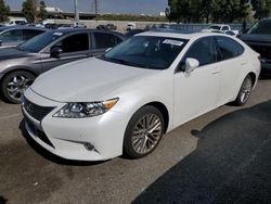 Lexus Vehiculos salvage en venta: 2015 Lexus ES 350